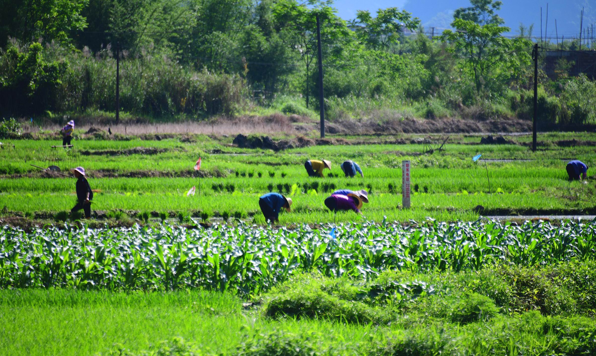 气盾坝：为春季灌溉筑牢“水支撑”